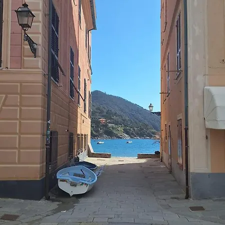 Lägenhet Monolocale La Conchiglia *