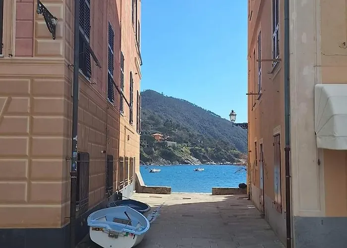 Lägenhet Monolocale La Conchiglia *